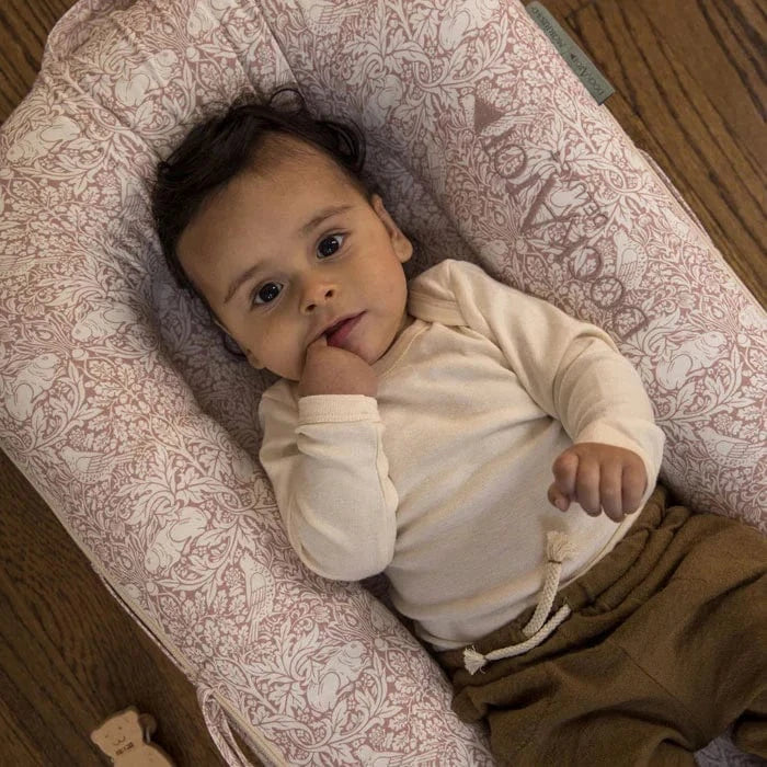 DockATot Deluxe+ Dock (0-8 Months) - Brer Rabbit - Image 5