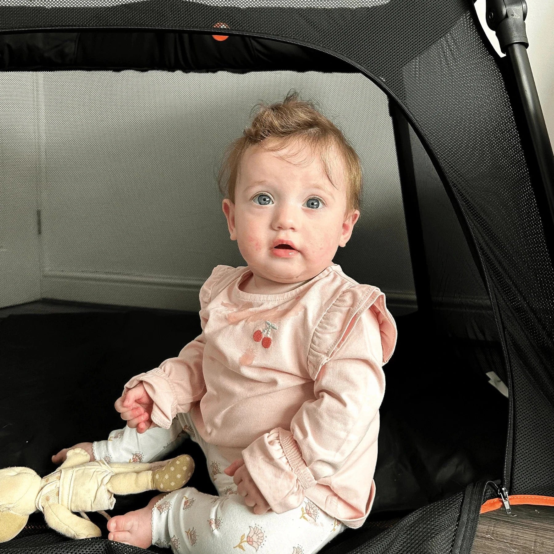 Out N About Nipper Nest - Image 9